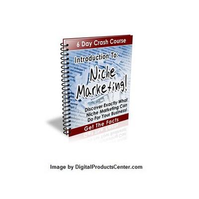 Product picture Introduction To Niche Marketing + Gift