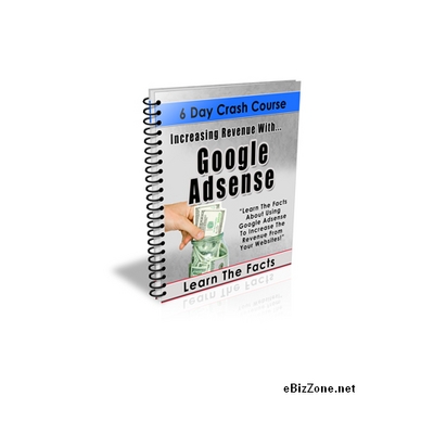 Product picture Increasing Revenue With Google Adsense + Gift 